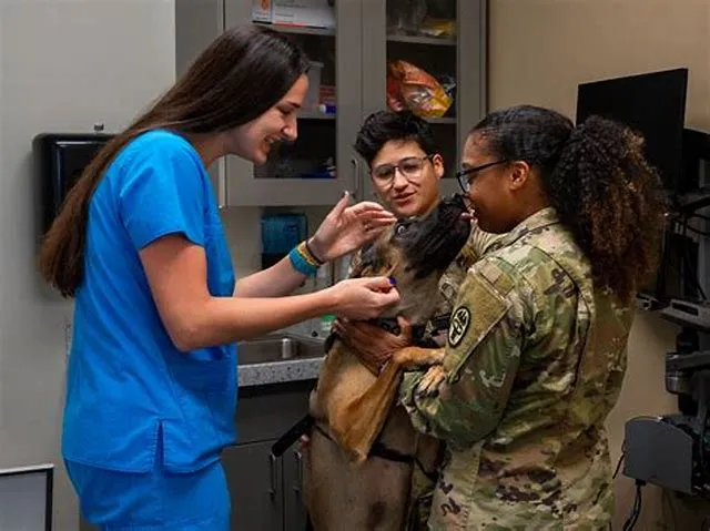 Veterinary Medical Officer job opening at U.S. Army Medical Command