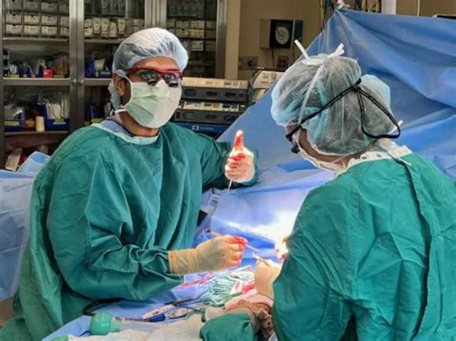 Physician-Vascular Surgery job opening at Veterans Health Administration