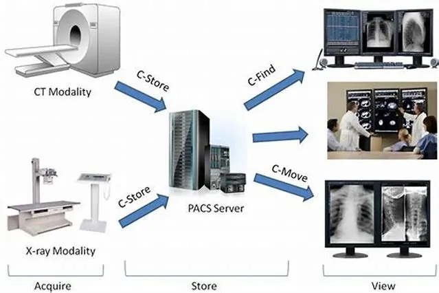 Diagnostic Radiologic Technologist-Picture Archival Communication System (PACS)