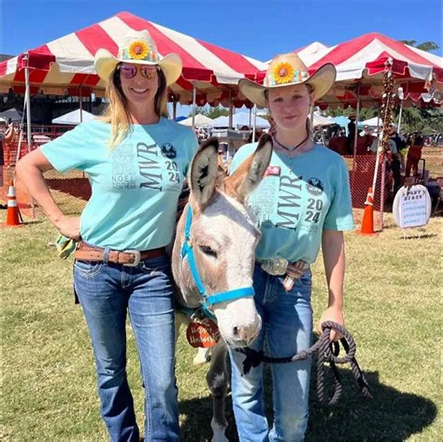 Recreation Assistant (Riding Instructor) NF-02