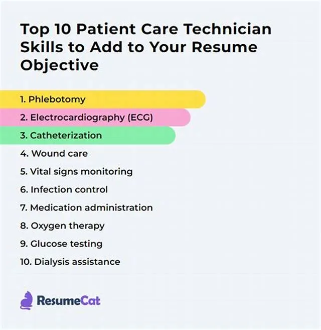 Patient Accounts Technician