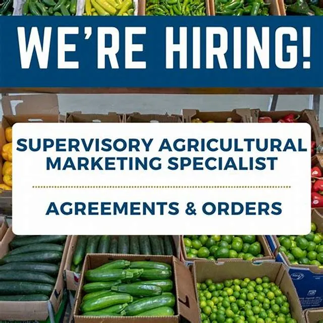 Supervisory Loan Specialist (Agricultural) job opening at Farm Service Agency