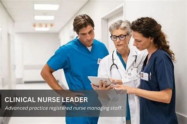 Registered Nurse (Clinical Nurse Leader) - Edrp Authorized job opening at Veterans Health Administration