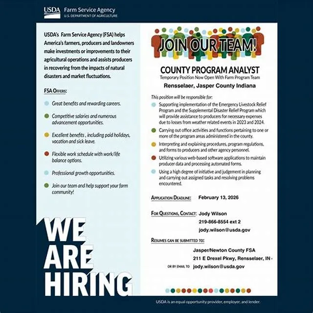 Temporary County Program Analyst
