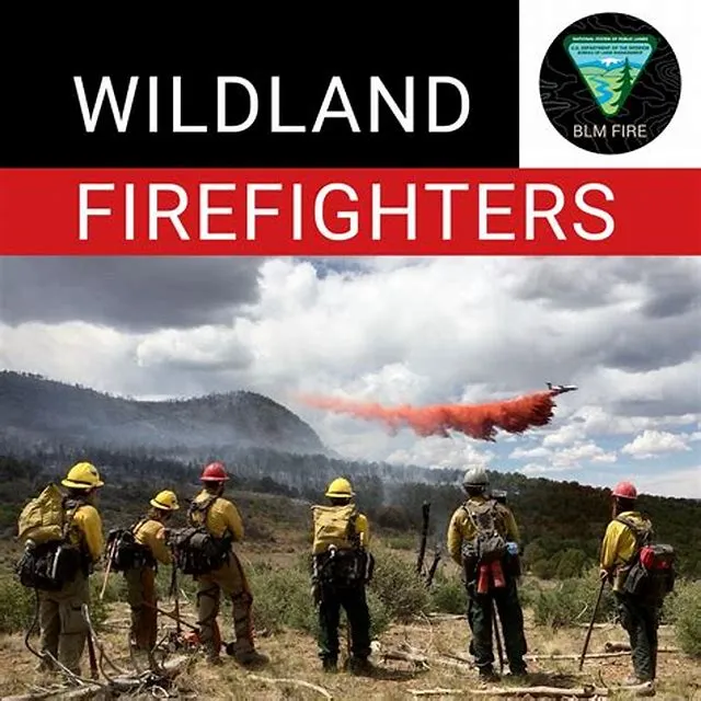 Wildland Firefighter (Engine) - Direct Hire Authority job opening at Office Of The Secretary Of The Interior