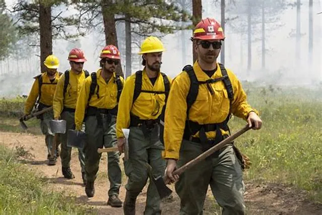 Wildland Firefighter (Prevention)