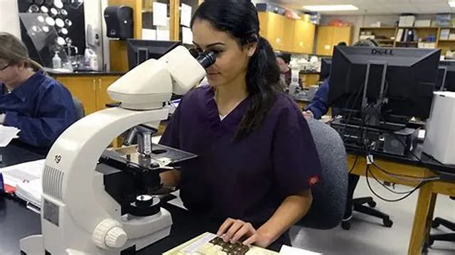 Lead Clinical Lab Scientist (Central Processing And Phlebotomy) job opening at Veterans Health Administration