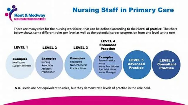 Advanced Practice Nurse-Primary Care