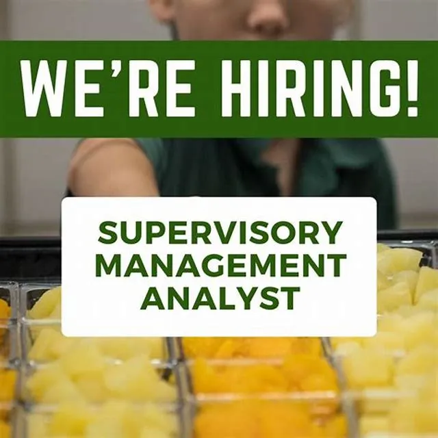 Supervisory Management Analyst (Branch Chief)