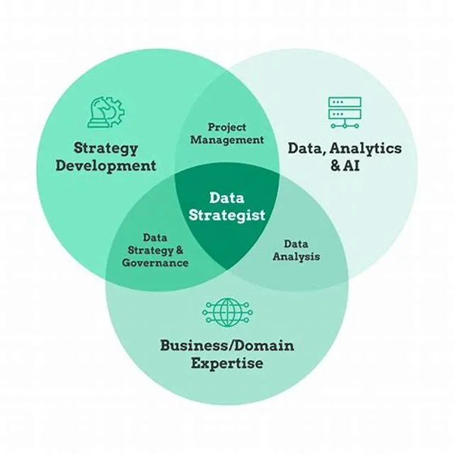 Data Strategist