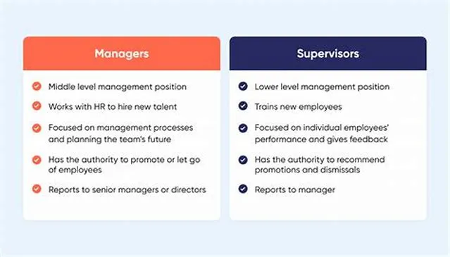Supervisory IT Specialist (Area Manager)