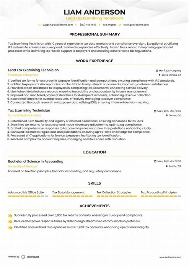 Lead Tax Examining Technician job opening at Internal Revenue Service