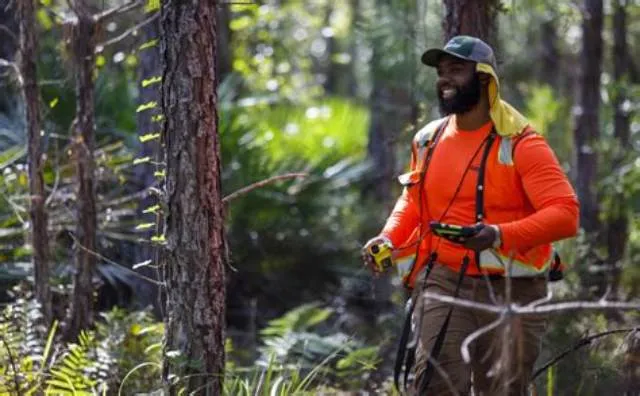 Forestry Technician (Recreation) job opening at Forest Service