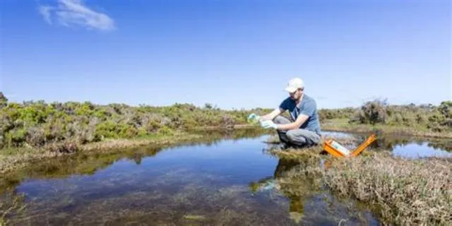 Hydrologist job opening at Forest Service