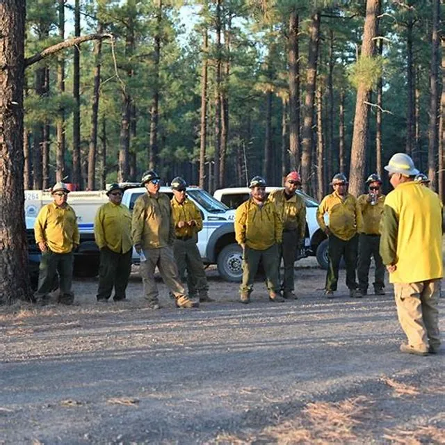 Wildland Firefighter (Engine)-Direct Hire Authority job opening at Office Of The Secretary Of The Interior