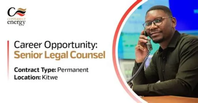 Senior Counsel (Detail Opportunity) job opening at Offices, Boards And Divisions