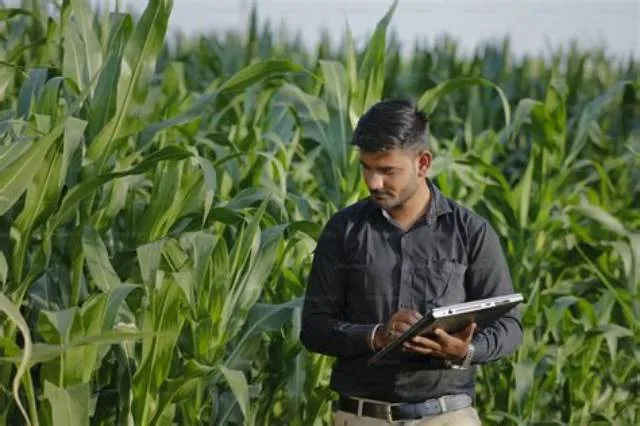 Agronomist job opening at Office Of The Chief Economist