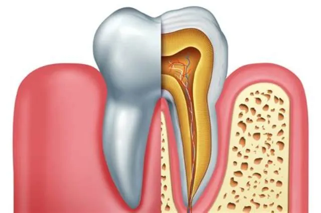 Dentist-Endodontist job opening at Veterans Health Administration