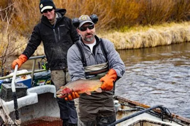 Fish And Wildlife Biologist job opening at U.S. Fish And Wildlife Service