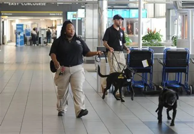 Transportation Security Specialist (Roc) job opening at Transportation Security Administration