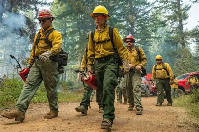 Wildland Firefighter (Fire Dispatcher) job opening at Forest Service
