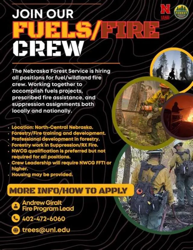 Wildland Firefighter (Fire, Fuels, And/Or Aviation Management Training) job opening at Forest Service