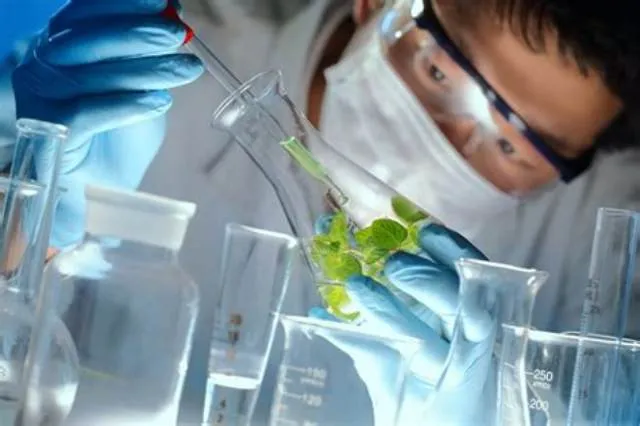 Biological Scientist (Environmental) job opening at Air Education And Training Command