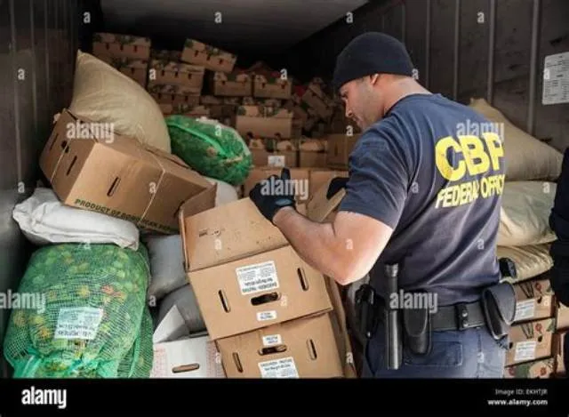 Cbp Officer (Container Security-Team Lead) job opening at Customs And Border Protection