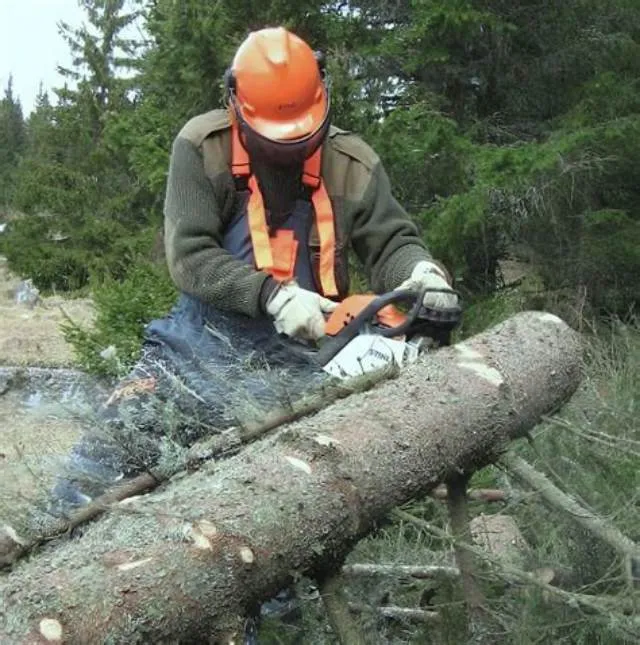 Wood Worker (Blocker & Bracer) Leader job opening at Defense Logistics Agency