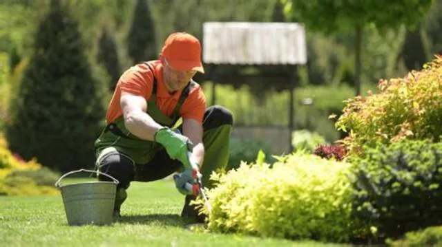 Gardener job opening at Veterans Health Administration