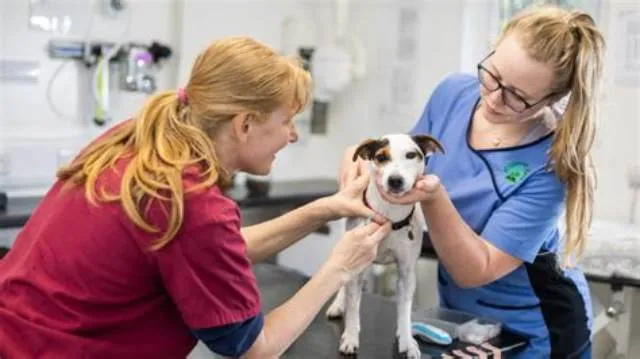 Animal Health Assistant (Developmental) Nf-01/02 job opening at U.S. Army Medical Command