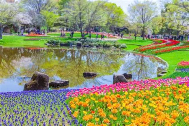 Park Guide (Seasonal) job opening at National Park Service