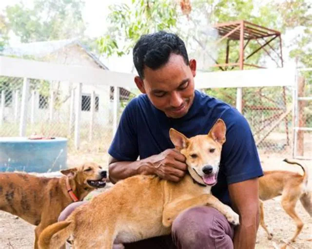 Animal Caretaker job opening at Customs And Border Protection