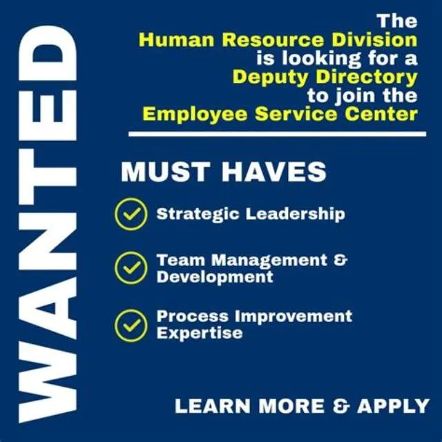 Deputy Director Service Delivery Staff job opening at Offices, Boards And Divisions