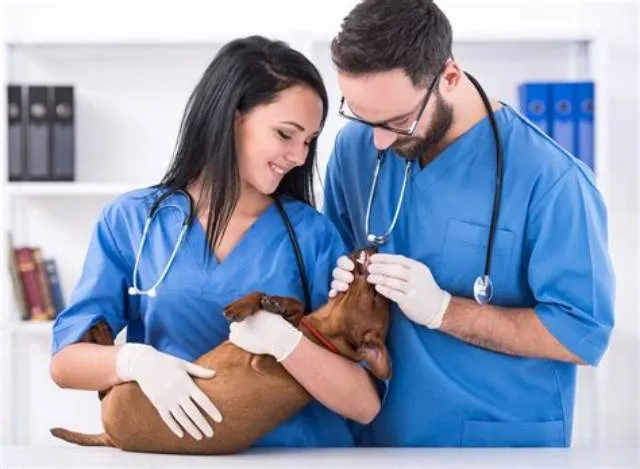 Animal Health Technician job opening at Animal And Plant Health Inspection Service